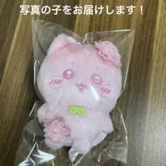 ちいかわ ぬいぱれっと～さくらいろ～マスコット ハチワレ