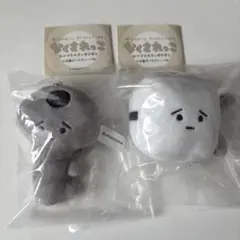 なくされっこぬいぐるみきぃほるだぁ