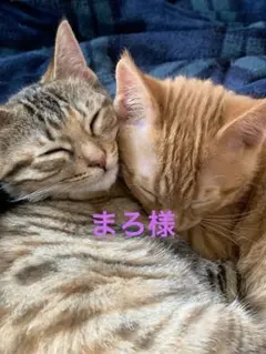 まろ様