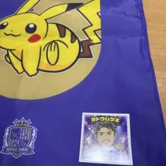サンフレッチェ広島 ポケモン コラボ トートバッグ 加藤ムツキ　ヒーローズシール