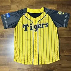 Item thumbnail for item 1355bb36-4548-4563-b518-8c6dc117b99d