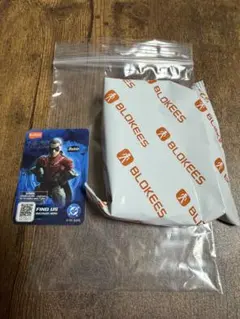 BLOKEES DCシリーズ Robin