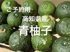 高知県産 本柚子小玉 10キロ - メルカリ