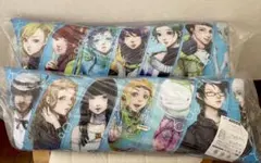 グノーシア ロングクッション(タイクレ限定) 全2種セット Amazon.co.jp: タイクレ限定 グノーシア GNOSIA ロングクッション AB