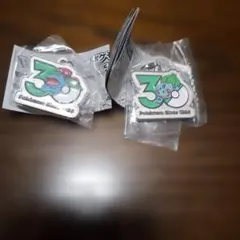 ポケモン30周年　メタルチャームマスコット　フシギバナ　フシギダネ　２個セット