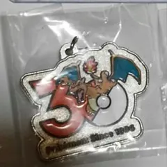 ポケモン リザードン メタルチャームマスコット キーホルダー めじるし 30周年