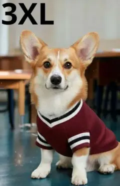 Item thumbnail for item 88bc2b50-be03-4ab1-a656-0478e1fcbc5c