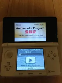 【専用】ニンテンドー3DS ホワイト アンバサダープログラム 内蔵ソフト21本