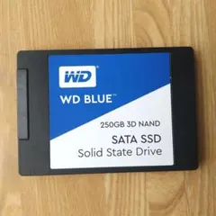 WD 블루 250GB 3D 낸드 SATA SSD 본체