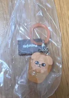SKZOO めじるしアクセサリー ソロキャンプ パピム スンミン