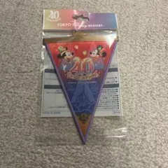 ディズニー40周年記念　フラグ