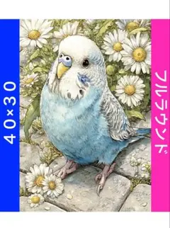 ダイヤモンドアートキットN-1601セキセイインコ ビーズ アート ハンドメイド