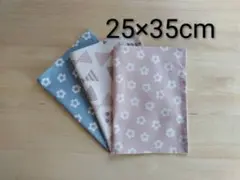 Item thumbnail for item 4e9e91fb-7d40-4dac-9241-907ee99e39cf