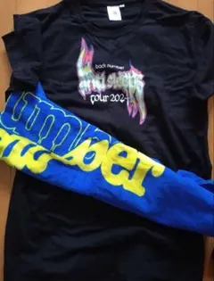 Item thumbnail for item 2f42097f-3170-425d-8676-90c961a08e1c