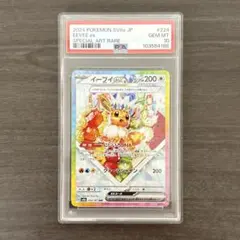 2026年最新】テラスタルフェス イーブイ psa10の人気アイテム - メルカリ