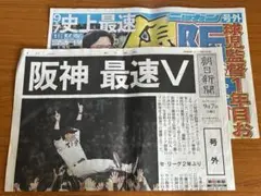 阪神タイガース 優勝 号外 朝日新聞 ニッカン セット