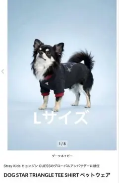 GUESS 犬服 Lサイズ ヒョンジン ぬい ゲス SKZOO スキズジニレット