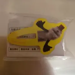 パペットスンスン キャラクターグッズ