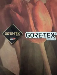 GORE-TEX ステッカー2枚セット