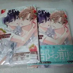 ストロベリーキス・メルト 2　アニメイト限定版　特典小冊子は未読！