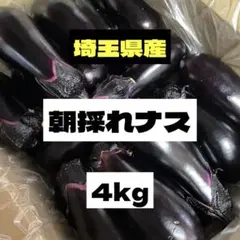 ★朝採れナス★箱込み4kg‼️のサムネイル