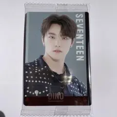 SEVENTEEN ウエハース ディノ