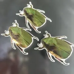 Item thumbnail for item 8273e880-430c-465f-824f-521343cbeeba