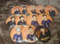 ハイキュー!! 缶バッチ 烏野 日向翔陽 影山飛雄 月島蛍 澤村大地 菅原孝支