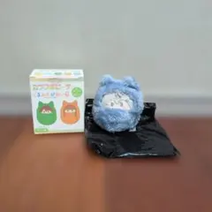 カラフルピーチ　ヒロ　くるみたぴぬいのサムネイル