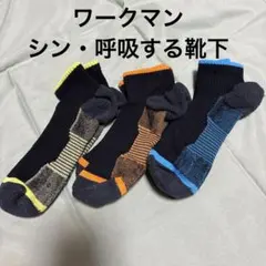 シン・呼吸する靴下　ワークマン 24.5〜27.0のサムネイル