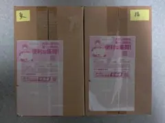 ポケモンセンター　スペシャルボックス　トウホク　フクオカ　各１ボックス