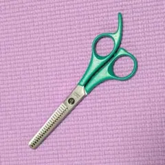 Item thumbnail for item 490815a8-58db-4dec-a40a-520d1f250b4d