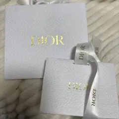 ディオール　DIOR ショッパー　空箱　袋