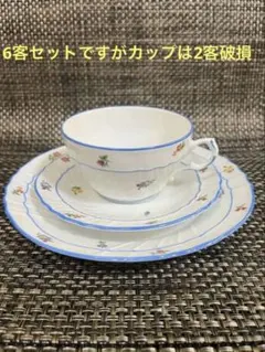 リチャードジノリ フィオーリヴェルディ 皿22cmと 17cm各5枚セット