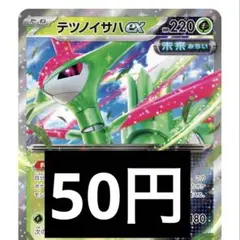 ポケモンカード　単品　テツノイサハex RR