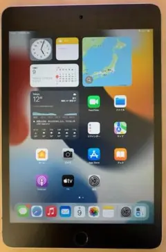iPad mini (第5世代) 128GB スペースグレージャンク品
