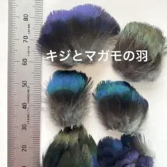 Item thumbnail for item 55f17563-c510-4d4a-b131-66b576e11402