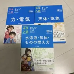 Lily様 リクエスト 2点 まとめ商品