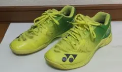 Item thumbnail for item d1973f58-e009-41ee-af7b-57c5e558c9e3