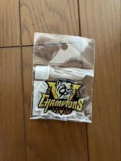 阪神タイガース　アクリルマグネット