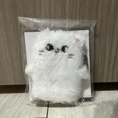 Stray Kids SKZOOO キーホルダー ヒョンジン　ジニレット