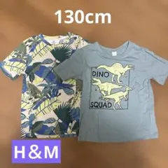 H&M 葉柄 恐竜 Tシャツ US 6X/7 130サイズ