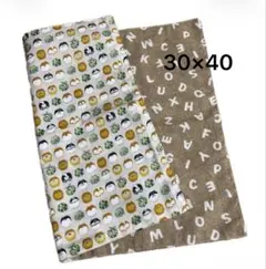 Item thumbnail for item af3cf7e0-3761-44ec-81db-226430e512e7