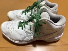 ASICS ゲルフープ　バスケットボールシューズ ハイカット ホワイト