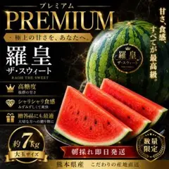 大玉！！熊本県産 羅王ザ・スウィート プレミアムスイカ 10kg以上
