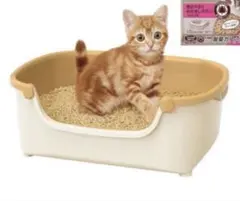 Item thumbnail for item 940b14ff-f27c-448d-b993-f853d29e3482