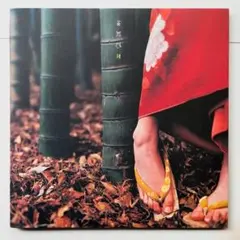 はる様 リクエスト 2点 まとめ商品