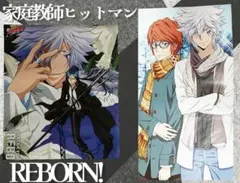 家庭教師ヒットマンREBORN！ スティックポスター 六道骸特殊加工&沢田