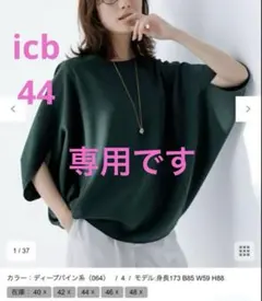 icb ドルマンスリーブプルオーバーブラウス (ディープパイン) 44