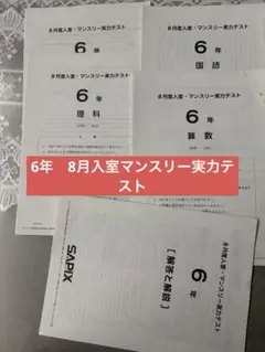 2026年最新】sapix 入室テストの人気アイテム - メルカリ